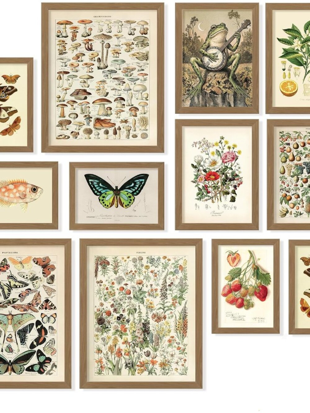 Cottagecore Wall Art Set, 12 Pcs Vintage Botanical Prints